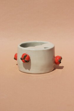 tomato travel cup