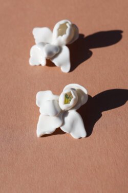 Alternative view of maxi white irises