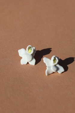 mini white irises