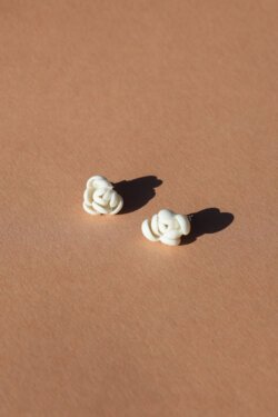 mini white ranunculus