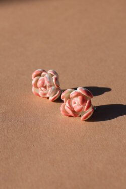 maxi pink ranunculus