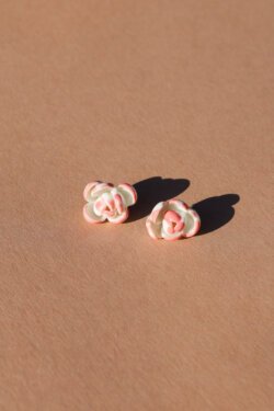 mini pink ranunculus